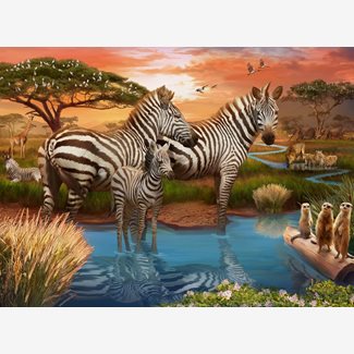 500 bitar - Zebras in sunset