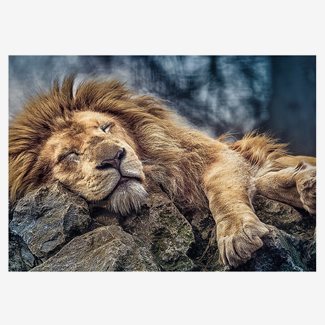1000 bitar - Sleeping lion