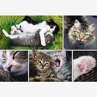 1500 bitar - Collage, cats
