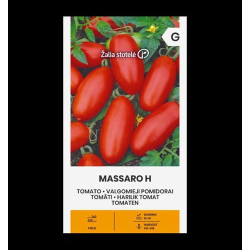Tomat, Massaro
