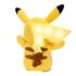 Pokemon - Electric charge plush Pikachu