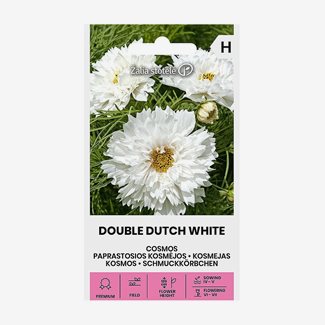 Rosenskära, Double Dutch white