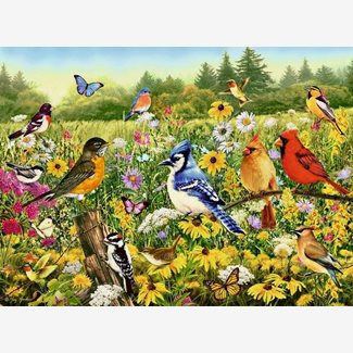 500 bitar - Birds in the meadow